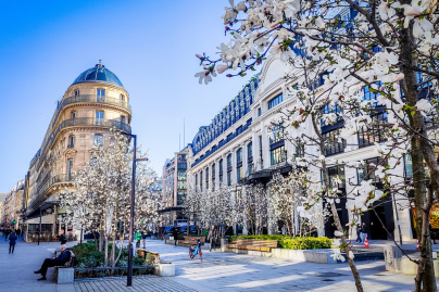 Visuel Paris 4e - printemps arbre fleurs