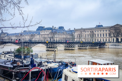 Visuel Paris 6e - Seine Pont des Arts hiver