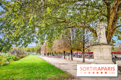 Visuel Paris 1er - jardin des Tuileries automne
