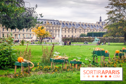 Visuel Paris 1er - jardin des Tuileries automne