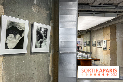 Saint Laurent Babylone, la librairie-galerie d'art de la maison de luxe à Paris - image00067