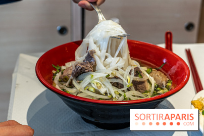 New Hao Khoan, le restaurant chinois et vietnamien, valeur sûre du 13e - Pho