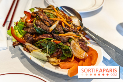 New Hao Khoan, le restaurant chinois et vietnamien, valeur sûre du 13e - salade thaï