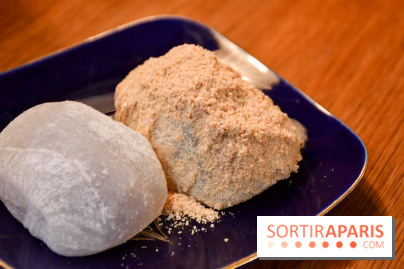 Zakuro, le restaurant authentique pour une cuisine japonaise réconfortante à Paris - DSC 0481