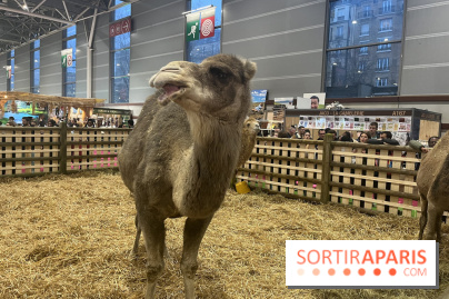 Salon de l'agriculture 2024 - image00057