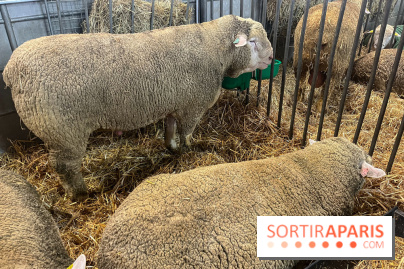 Salon de l'agriculture 2024