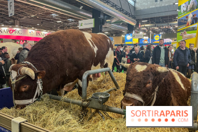 Salon de l'agriculture 2024