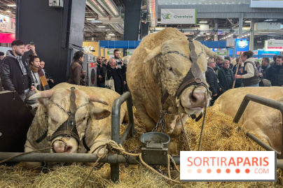 Salon de l'agriculture 2024
