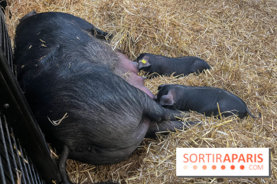 Salon de l'agriculture 2024 - image00030