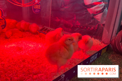 Salon de l'agriculture 2024