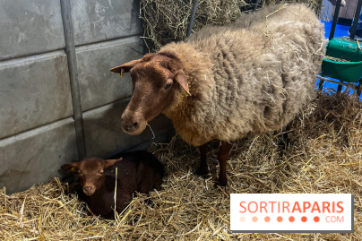 Salon de l'agriculture 2024 - image00020