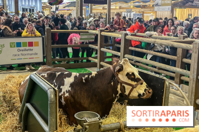 Salon de l'agriculture 2024