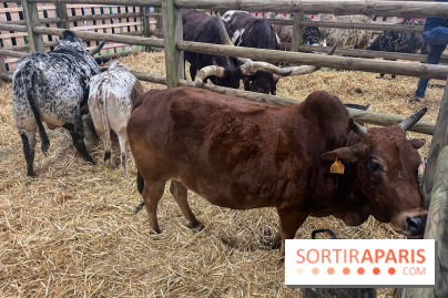 Salon de l'agriculture 2024 - image00002