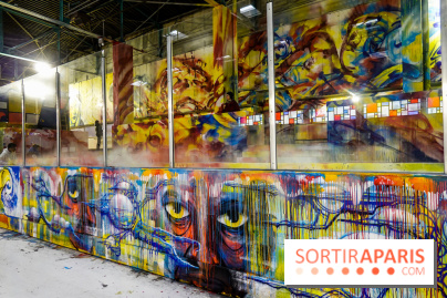 La Peintinoire, nos photos  - DSC03542