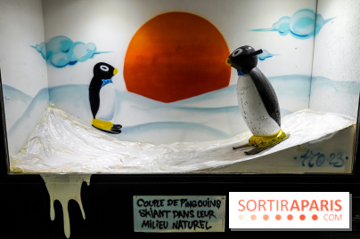 La Peintinoire, nos photos  - DSC03682