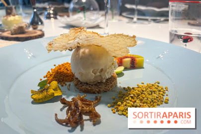 Inoveat, le restaurant gastronomique d'insectes à Paris - nos photos