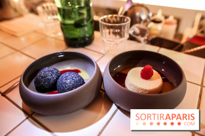 Yujin à Paris, nos photos - IMG 2796