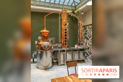 La Distillerie de l’Arbre Sec : l'atelier de création de gin à deux pas du Louvre - IMG 4865