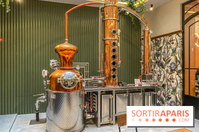 La Distillerie de l’Arbre Sec : l'atelier de création de gin à deux pas du Louvre