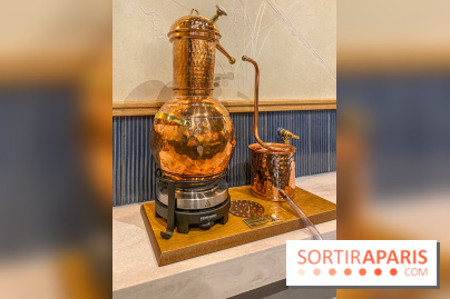 La Distillerie de l’Arbre Sec : l'atelier de création de gin à deux pas du Louvre