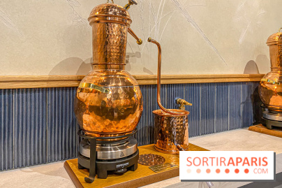 La Distillerie de l’Arbre Sec : l'atelier de création de gin à deux pas du Louvre