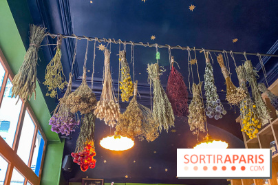 La Distillerie de l’Arbre Sec : l'atelier de création de gin à deux pas du Louvre