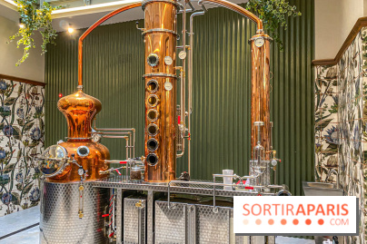 La Distillerie de l’Arbre Sec : l'atelier de création de gin à deux pas du Louvre