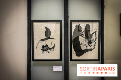 Exposition Sumi et Motion de la calligraphe japonaise Aya Wada à la galerie La Lison - IMG 4922