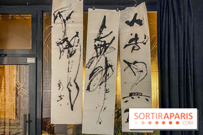Exposition Sumi et Motion de la calligraphe japonaise Aya Wada à la galerie La Lison - IMG 4958