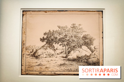 La voix de la forêt : l'exposition qui nous reconnecte avec la nature au Petit Palais - photos