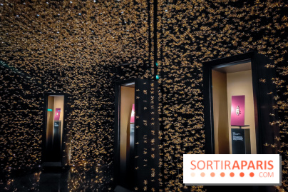 Le goût de la Renaissance, l'exposition de collectionneurs se dévoile à l'Hôtel de la Marine - IMG20240305111030