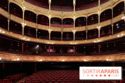 Nos critiques des pièces de théâtre et spectacles du moment à Paris et en Ile de France 