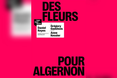 Des fleurs pour Algernon theatre du petit saint martin 