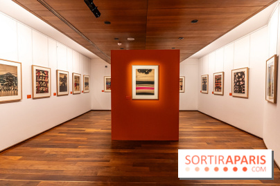 Exposition T'ang Haywen au Musée Guimet à Paris -  A7C8059