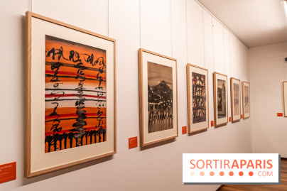 Exposition T'ang Haywen au Musée Guimet à Paris -  A7C8060