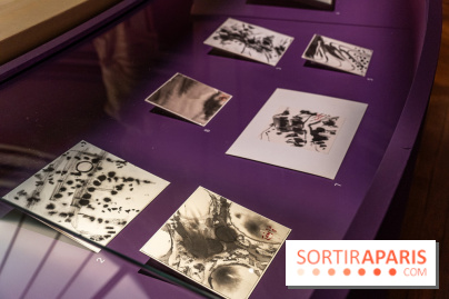 Exposition T'ang Haywen au Musée Guimet à Paris -  A7C8072