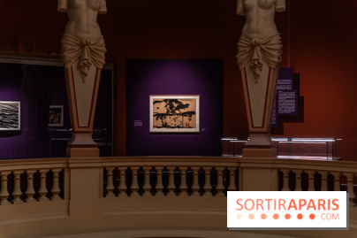 Exposition T'ang Haywen au Musée Guimet à Paris -  A7C8074