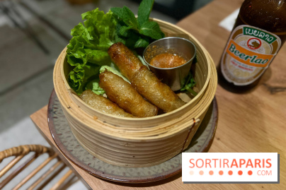 Luangpra - Nems thaïlandais au poulet