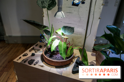 Suivre les ondes, nos photos de l'expo à l'Institut suédois