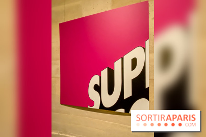 H5 - Voir la French Touch, l'exposition musicale à l'Espace Richaud, à Versailles - IMG 5053