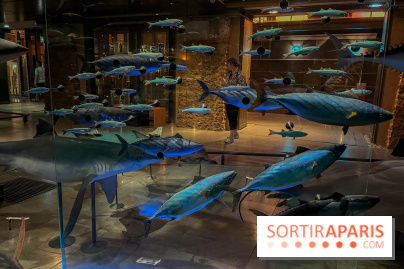 Grande Galerie de l'évolution- visuels 2024 - image00110