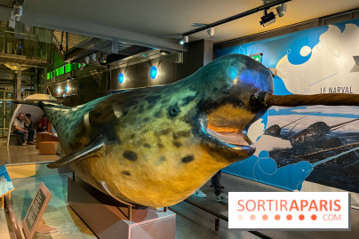 Grande Galerie de l'évolution- visuels 2024 - image00092