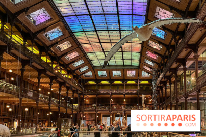 Grande Galerie de l'évolution- visuels 2024