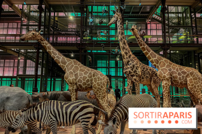 Grande Galerie de l'évolution- visuels 2024 - image00073