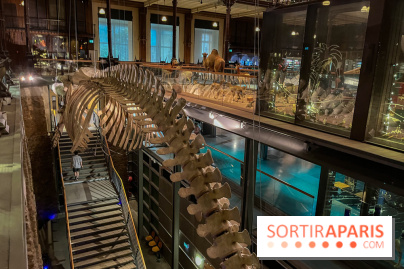 Grande Galerie de l'évolution- visuels 2024 - image00076