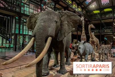 Grande Galerie de l'évolution- visuels 2024 - image00062