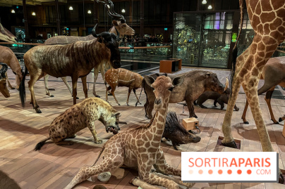 Grande Galerie de l'évolution- visuels 2024 - image00050