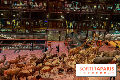 Grande Galerie de l'évolution- visuels 2024 - image00035