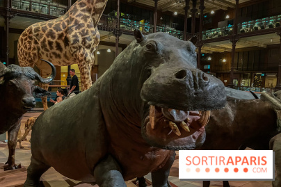 Grande Galerie de l'évolution- visuels 2024 - image00042