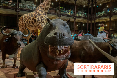 Grande Galerie de l'évolution- visuels 2024 - image00043